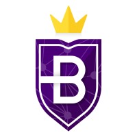 BitRoyal logo - Similar company to R P Technology Pvt Ltd