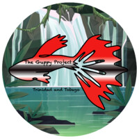 The Guppy Project logo - Similar company to Galapagos Shark Diving