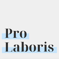 Pro Laboris logo - Similar company to Mbt-Solution Gmbh