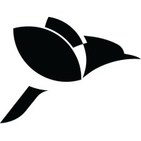 Kite Aero logo - Similar company to Skyborne Technologies