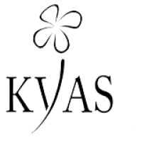 Kvas Softech Pvt. Ltd. logo - Similar company to Kvas Technologies