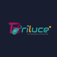 Briluce services logo - Similar company to Danol Group