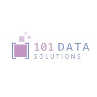101 Data Solutions logo - Similar company to 67 Bricks