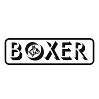 BOXER SRL logo - Similar company to Placement House