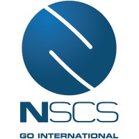 N-Strategy Consulting Services logo - Similar company to Miens