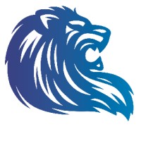 Sinan Group of Companies logo - Similar company to Sky Vista Consulting