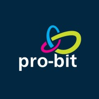 Pro-bit Srbija logo - Similar company to Bardj - Virtual Dj