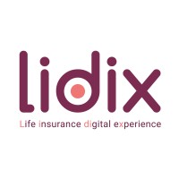 Lidix logo - Similar company to Sotieg