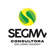 Segma consultora logo - Similar company to Qualis It
