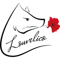 Louvelico logo - Similar company to Hypno'Z - Podcast
