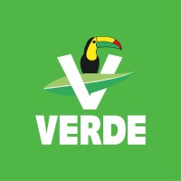 Partido Verde Ecologista de México logo - Similar company to Partido Acción Nacional