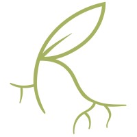 Rootful logo - Similar company to Solitar Studio
