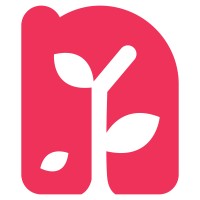Nexa Growth logo - Similar company to Baazar Studio