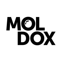 Moldox Festival logo - Similar company to Liga Studenților Originari Din Republica Moldova (Lsorm)