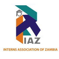 Interns Association of Zambia logo - Similar company to Liquid Rock Process Ps