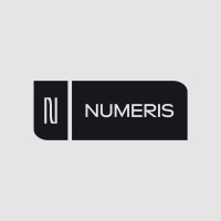 Numeris Consulting logo - Similar company to Ricardo Schweitzer