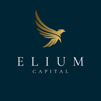 ELIUM CAPITAL logo - Similar company to Holly