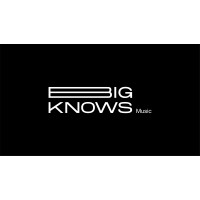 Bigknows logo - Similar company to Wearspaces