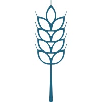 GRUPO JEZREEL ASESORES SC logo - Similar company to Gainback