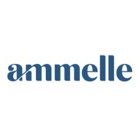 Ammelle Solutions logo - Similar company to Hacklin