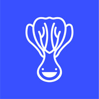 CHOYS logo - Similar company to Academy Of Mine (Iso 27001 Certified)