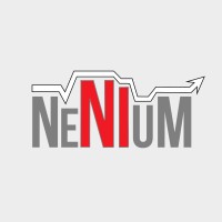 NENIUM - Núcleo de Estudantes de Negócios Internacionais da Universidade do Minho logo - Similar company to Master In Services Engineering And Management