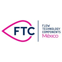 FLOW TECHNOLOGY COMPONENTS MÉXICO logo - Similar company to Global Systems Engineering Group