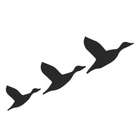 DFT Partners logo - Similar company to Fastpasscorp