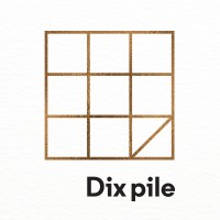 Dix pile logo - Similar company to Devonian Health Group Inc.