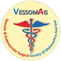 Vessomag logo - Similar company to Readydedis, Llc