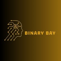 Binary Bay Solutions logo - Similar company to Pacific Pro Services