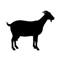 Crazy Goats Events logo - Similar company to Spaintacular - Hosts Global Member