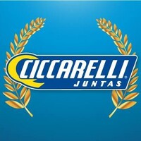 Juntas Ciccarelli SRL logo - Similar company to Grupo Tech