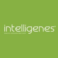 intelligenes logo - Similar company to Ingress Elevator & Escalator