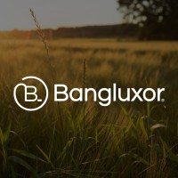 Bangluxor logo - Similar company to Xendekweb Llc