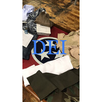 Dei / Defender Enterprises Inc.