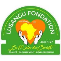 Lusangu Fondation logo - Similar company to Dnl Engineering