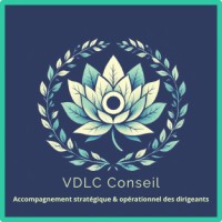 VDLC Conseil logo - Similar company to Visitveluwe