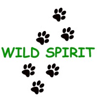 Wild Spirit Education, Inc. logo - Similar company to Wild Spirit Development