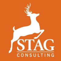 STAG Consulting logo - Similar company to Comttraex Nig Ltd
