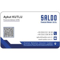 Saldo Serbest Muhasebeci Mali Müşavirlik Ltd. Şti. logo - Similar company to Arc Group