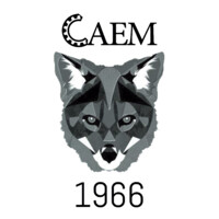 CAEM - Centro Acadêmico da Engenharia Mecânica XI Dezembro (FEG UNESP) logo - Similar company to Lemf-Unesp