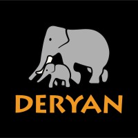 DERYAN logo - Similar company to Joovy