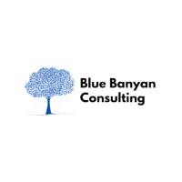 Blue Banyan Consulting logo - Similar company to Evolve Consultancy, Llc