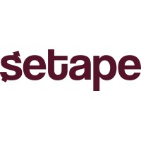 Grupo SETAPE logo - Similar company to Nerdfox Tecnologia