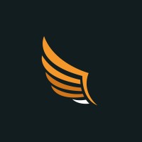 Dutch Drone Gods logo - Similar company to Starlive