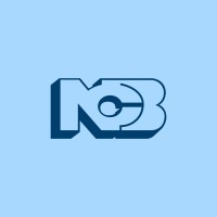 NCB Foundation logo - Similar company to Syxel Technologies