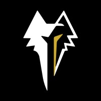 WolfEye Studios logo - Similar company to Gameleon Studio