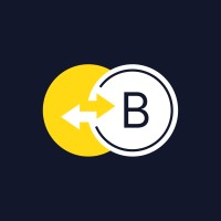 Bintense logo - Similar company to Walme Finance