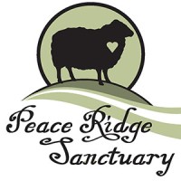 Peace Ridge Sanctuary logo - Similar company to Emerging Technologies, Llc